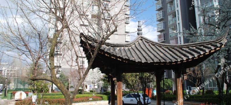 丽江360度雪山观景90平米精品豪华家庭套房图片