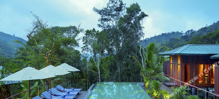 尼拉马亚卡达莫姆俱乐部旅馆(Niraamaya Retreats Cardamom Club)图片