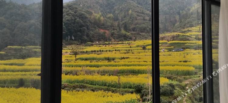 婺源老村长家民宿(江岭景区店)图片