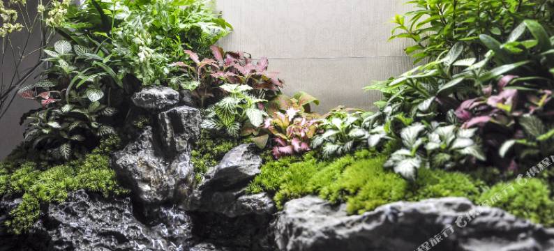 瑞草海景公寓(秦皇岛远洋海逸世家店)图片