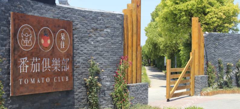 启东呆住·番茄俱乐部图片