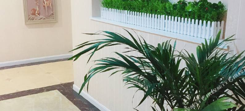 索特假日酒店(西昌火把广场店)图片