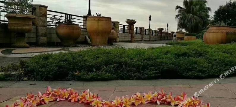 东莞盛夏的果实公寓图片