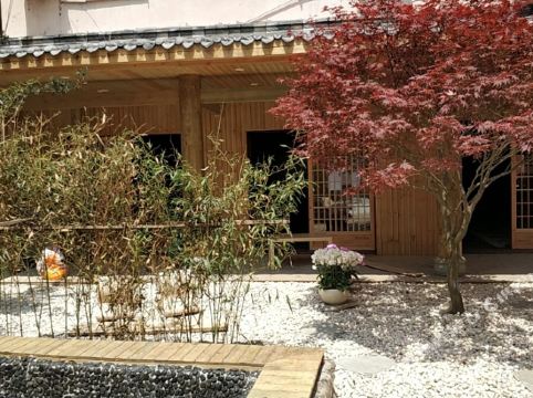 彭州梧桐树下的故事温泉民宿