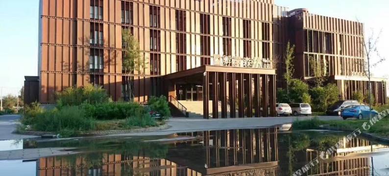 精河孵梦森林精品酒店图片