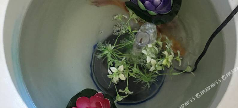 怀来肖敏别墅图片