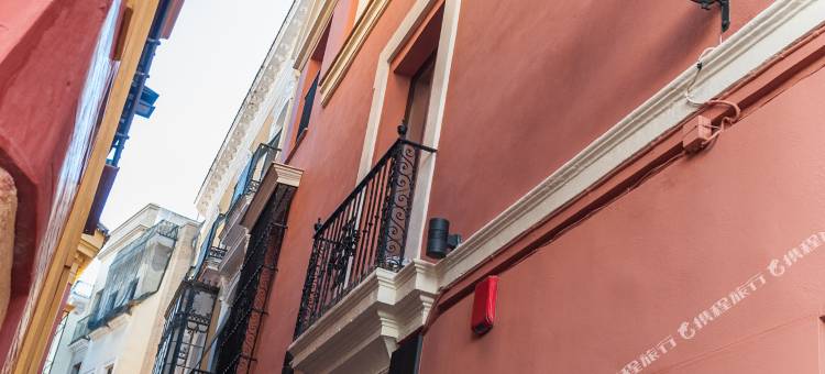 穆里略大教堂套房酒店(Suites Murillo Catedral)图片