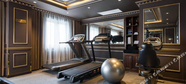 岘港莫纳科酒店(Monarque Hotel Danang)图片