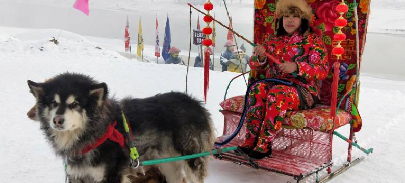 雾凇岛摄影基地酒店(雾凇岛景区店)图片
