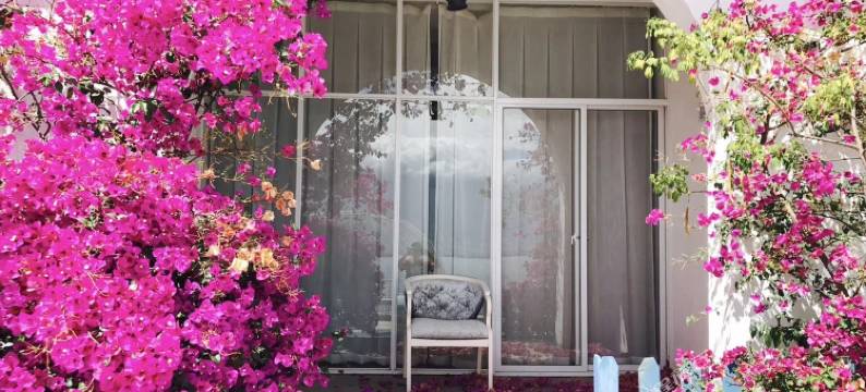 大理市大理海景民宿(文笔村分店)图片