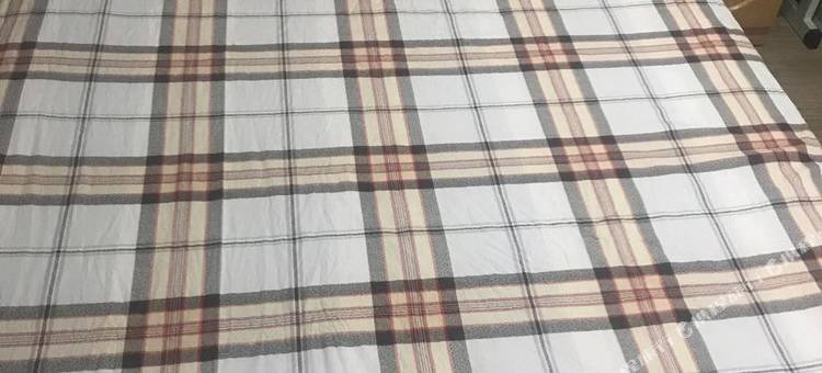 北京流浪猫581588公寓图片