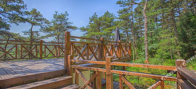 庐山忆庐民宿图片