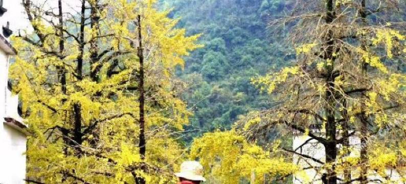 兴安米兰诺商务酒店图片