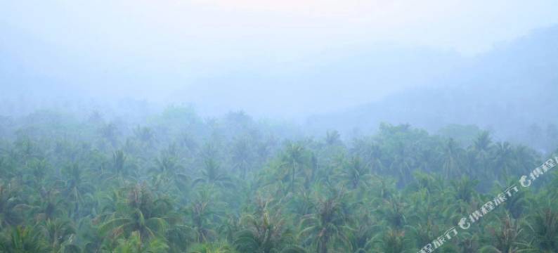 三亚莲宿酒店(大东海店)图片