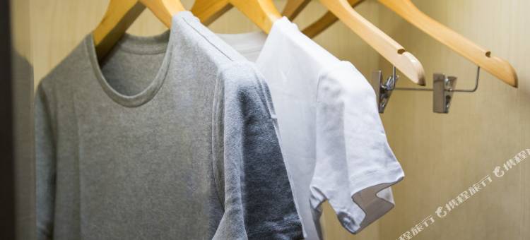 麗枫酒店(陇南长江大道店)图片