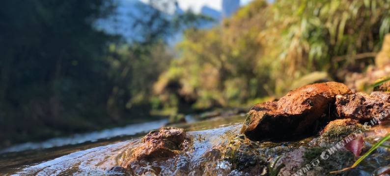 仙居四喜民宿图片