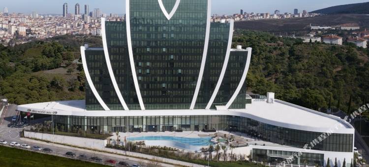 伊斯坦布尔库丘克亚勒精英世界大酒店(Elite World Grand Istanbul Küçükyalı)图片