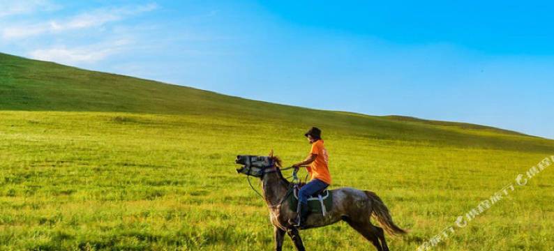 张北花田草海假日酒店图片