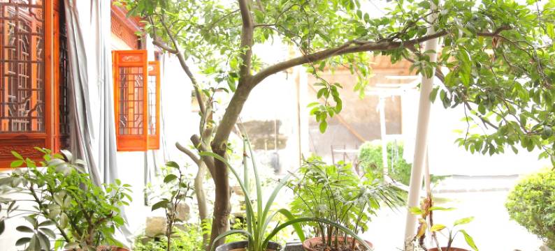 宏村树德堂客栈图片