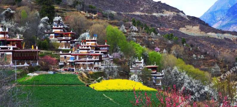 丹巴其玛拉布客栈图片