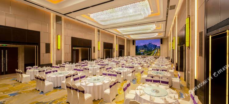 重庆维景国际大酒店图片