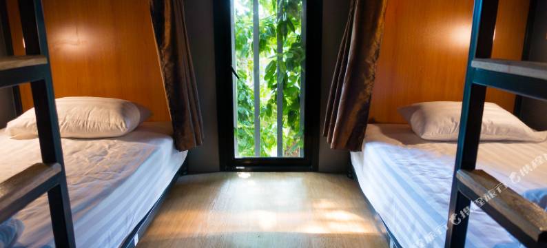 舒适床铺旅舍(Comfy Bed Hostel)图片