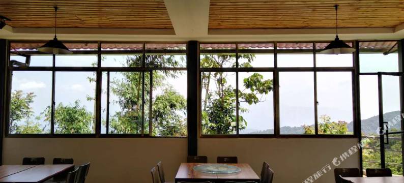 勐海龙巴庄园图片