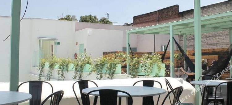 MX 民宿阿拉梅达青年旅馆 - 青年旅馆(CASA MX alameda)图片