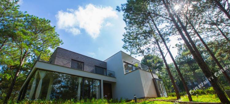 大叻特拉可塔酒店及度假村(Terracotta Hotel & Resort Dalat)图片