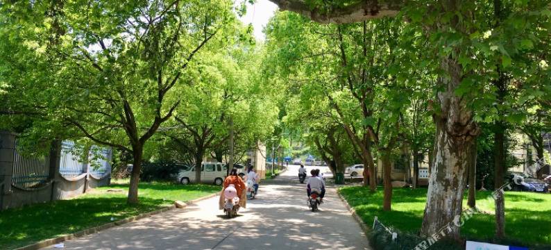 景德镇文文Vivi公寓(5号店)图片