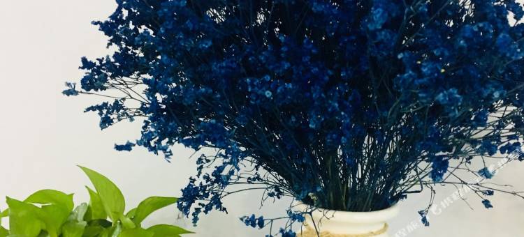 洛阳玥玥家公寓图片