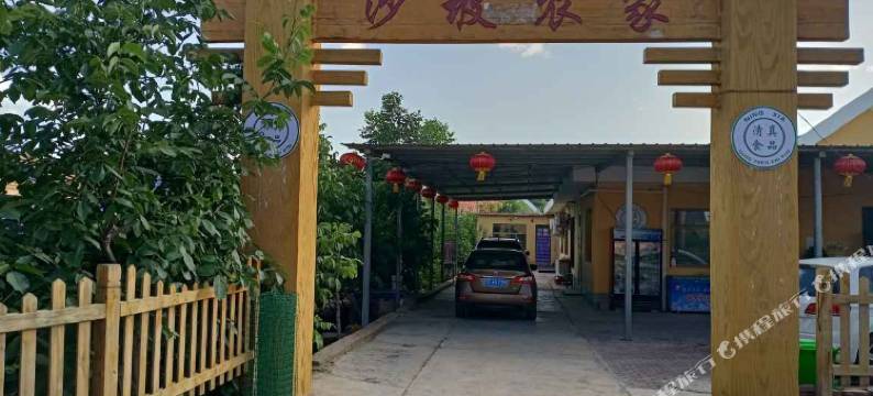 中卫金色沙坡图片