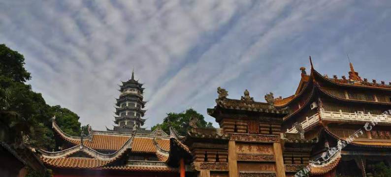 玉仙酒店(重庆高铁西站店)图片