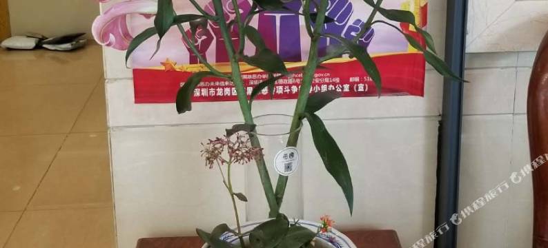 龙联尚品酒店(深圳爱联地铁站店)图片