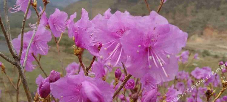 围场逸家公寓图片