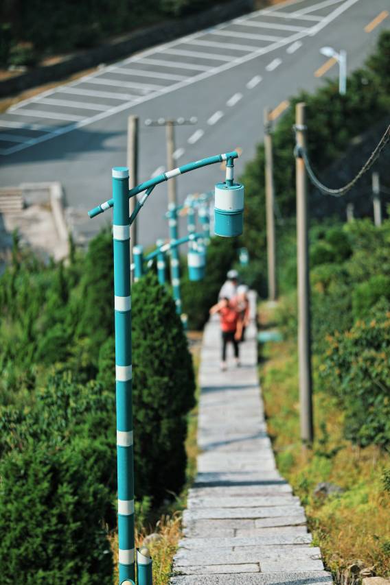 临海·小憩白色印象180°海景设计师度假美宿(岱山衢山岛店)图片