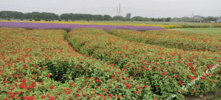 骏怡连锁酒店(嘉兴梅嘉路店)图片