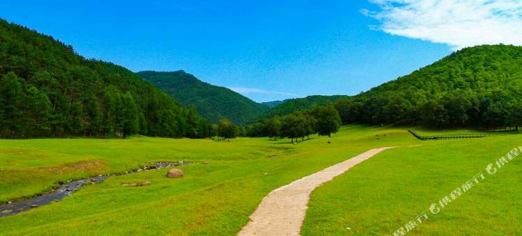 汤旺河白桦林旅馆图片