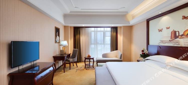 维也纳酒店(金寨店)图片