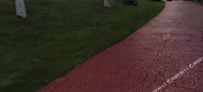 资阳东方假日酒店图片