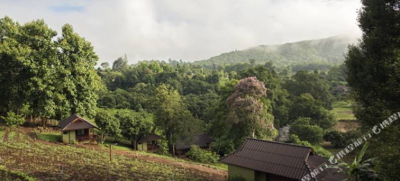 清迈大象朋友旅馆(Chiang Mai Elephant Friends)图片