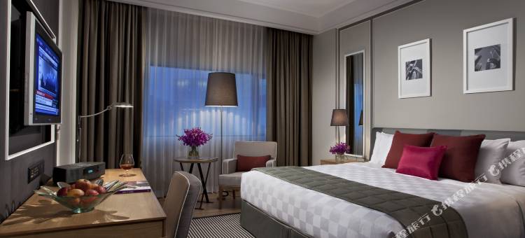 新加坡乌节大酒店(Orchard Hotel Singapore)图片