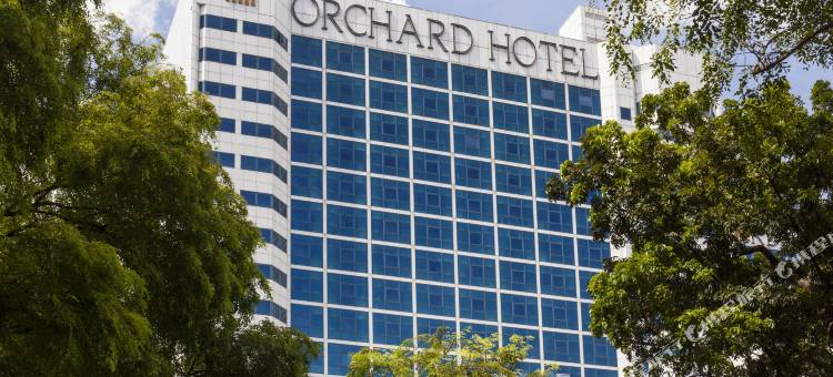 新加坡乌节大酒店(Orchard Hotel Singapore)图片