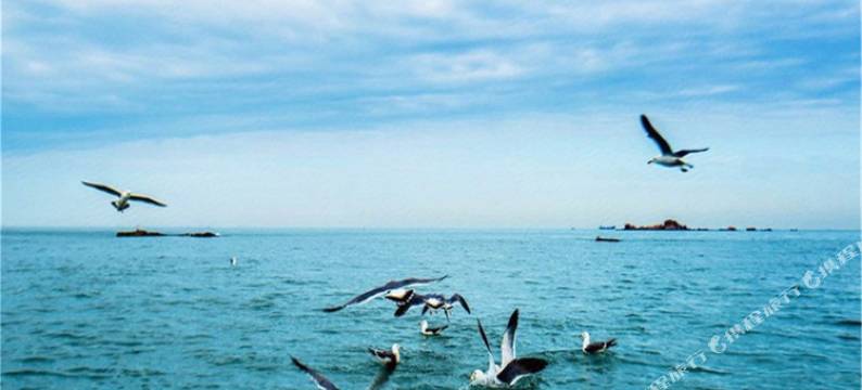 蓬莱大林渔家客栈图片