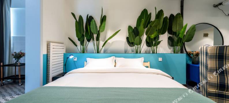 西安兜行dook公寓(18号店)图片