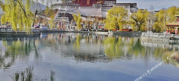 拉萨阿萨民俗酒店(布达拉宫大昭寺店)图片