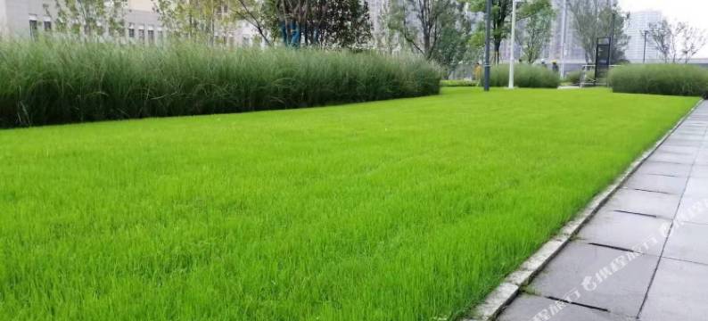 凤舍精选酒店(郑州大学高新万科广场店)图片