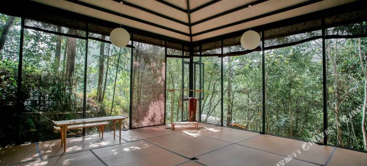 武夷山陶然有山茶空间美学度假山居图片