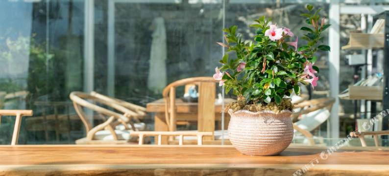 大理闲在·解春秋疗愈隐宿图片