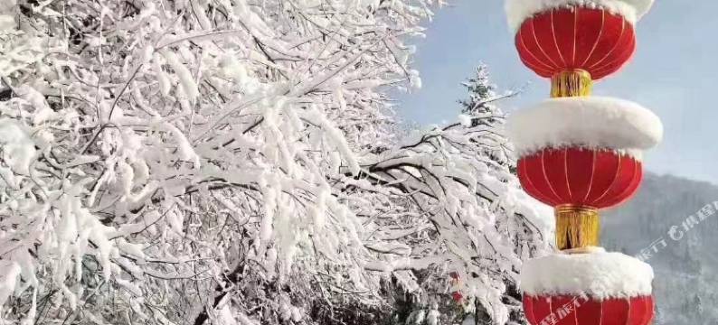 雪乡农家小院宾馆图片
